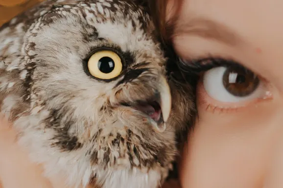 Betitall Kasyno Wsparcie